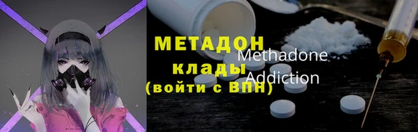 шишки Каменногорск