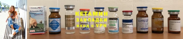 шишки Каменногорск