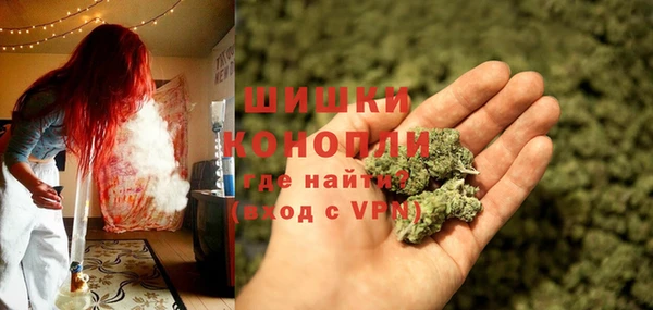 ешки Иннополис