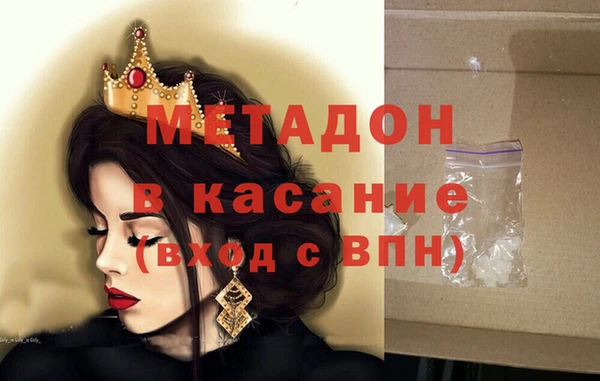шишки Каменногорск