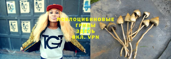 альфа пвп Инта