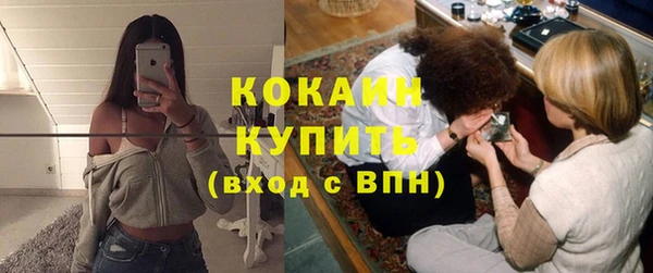 шишки Каменногорск
