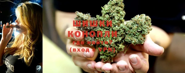 ешки Иннополис