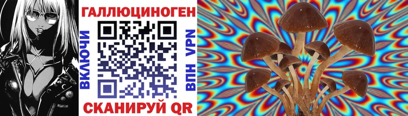 Галлюциногенные грибы мухоморы  блэк спрут вход  Майкоп  дарнет шоп 